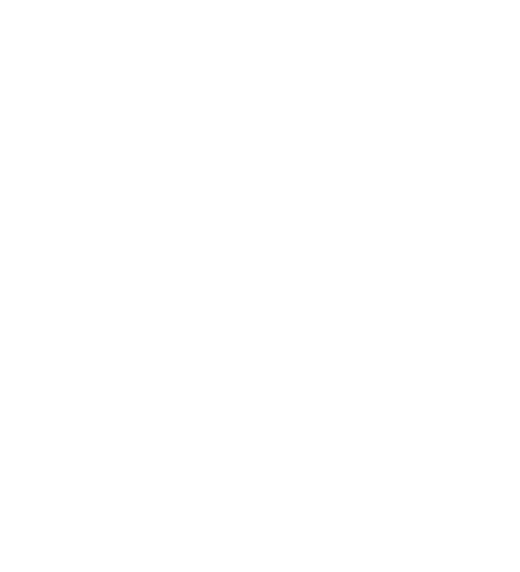 FSSC 22000 certified icon