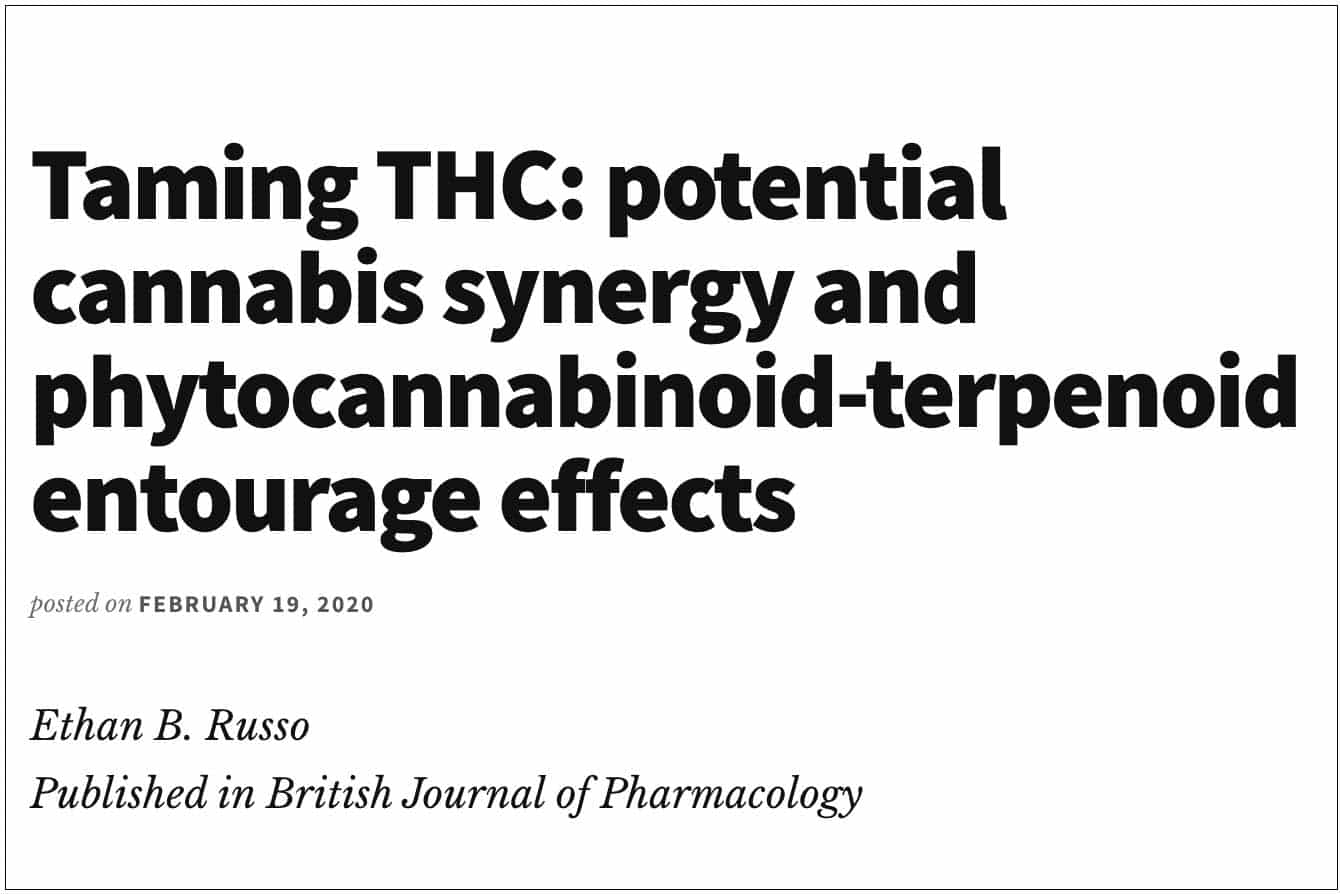 Taming THC: potential cannabis synergy and terpenoids