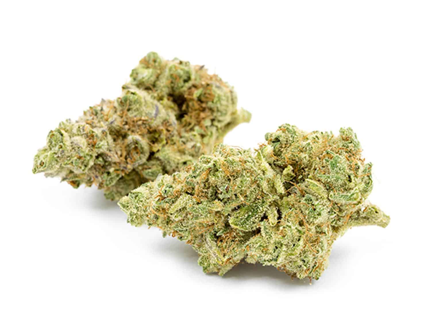 Marijuana flower, often called buds or cannbis, against an isolated white background shot in a dispensary in Oregon where these drugs are now legal.