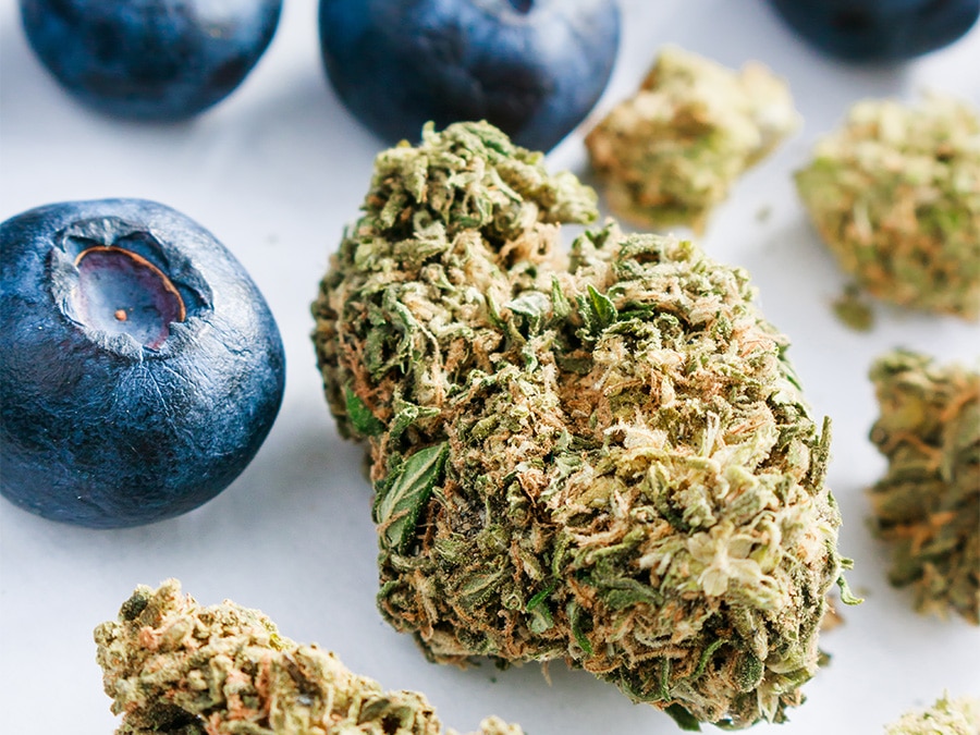 Inspiration for flavor-infused terpenes