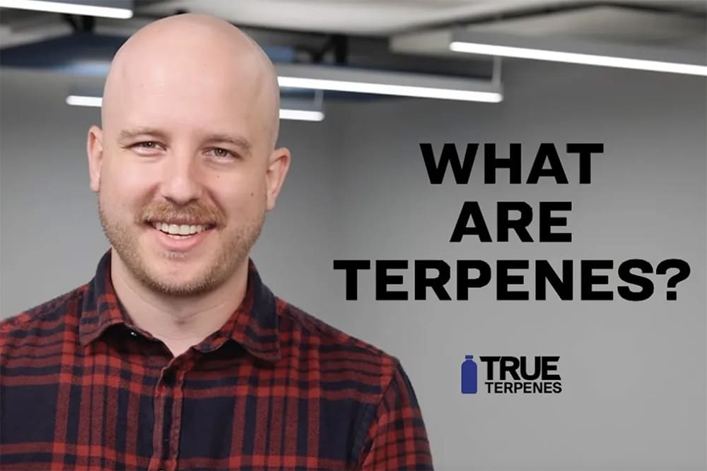 True Terpenes answers: what are terpenes? in a video blog post