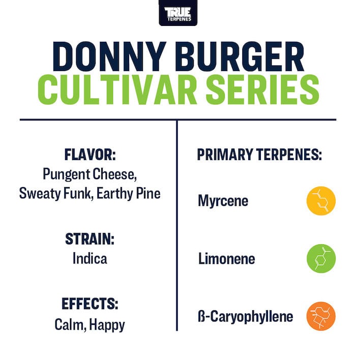 Donny Burger Terpene Strain Profile | True Terpenes