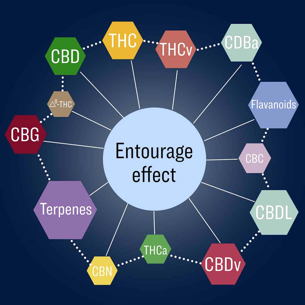 Visual example of the entourage effect with terpenes