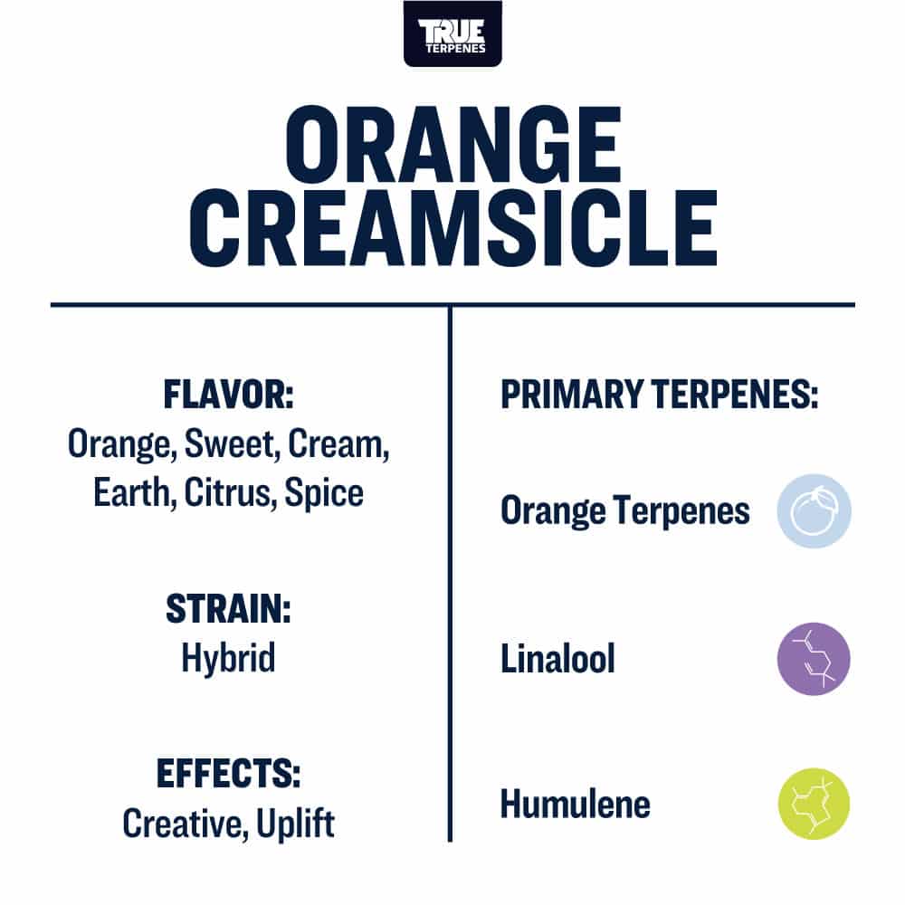 Buy Orange Creamsicle Terpenes | True Terpenes