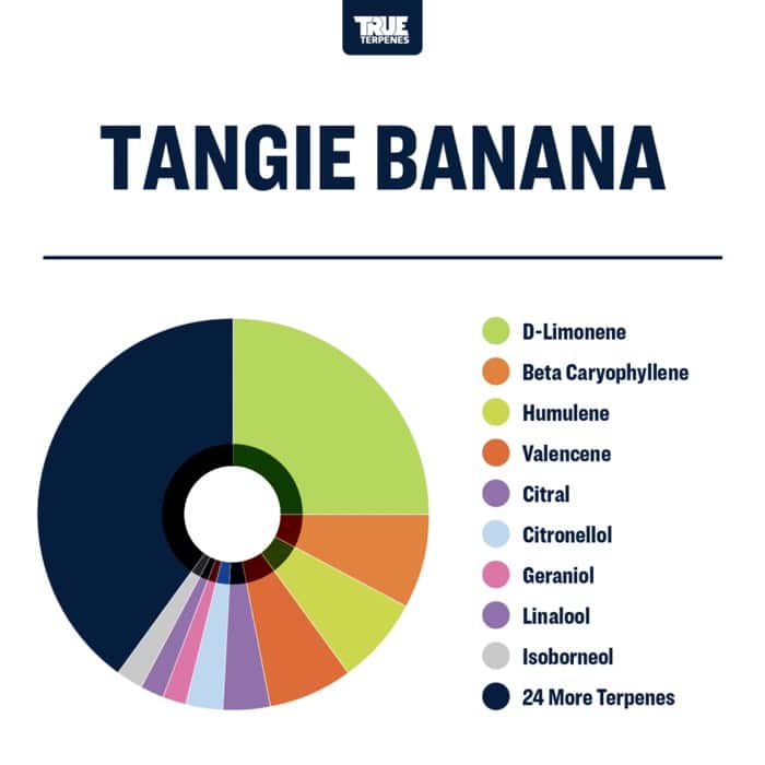 Tangie Banana Terpenes | Terpene Flavors | True Terpenes