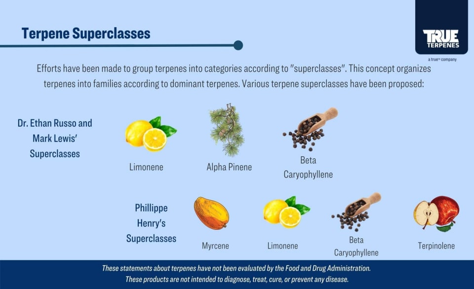 Terpenes superclasses infographic