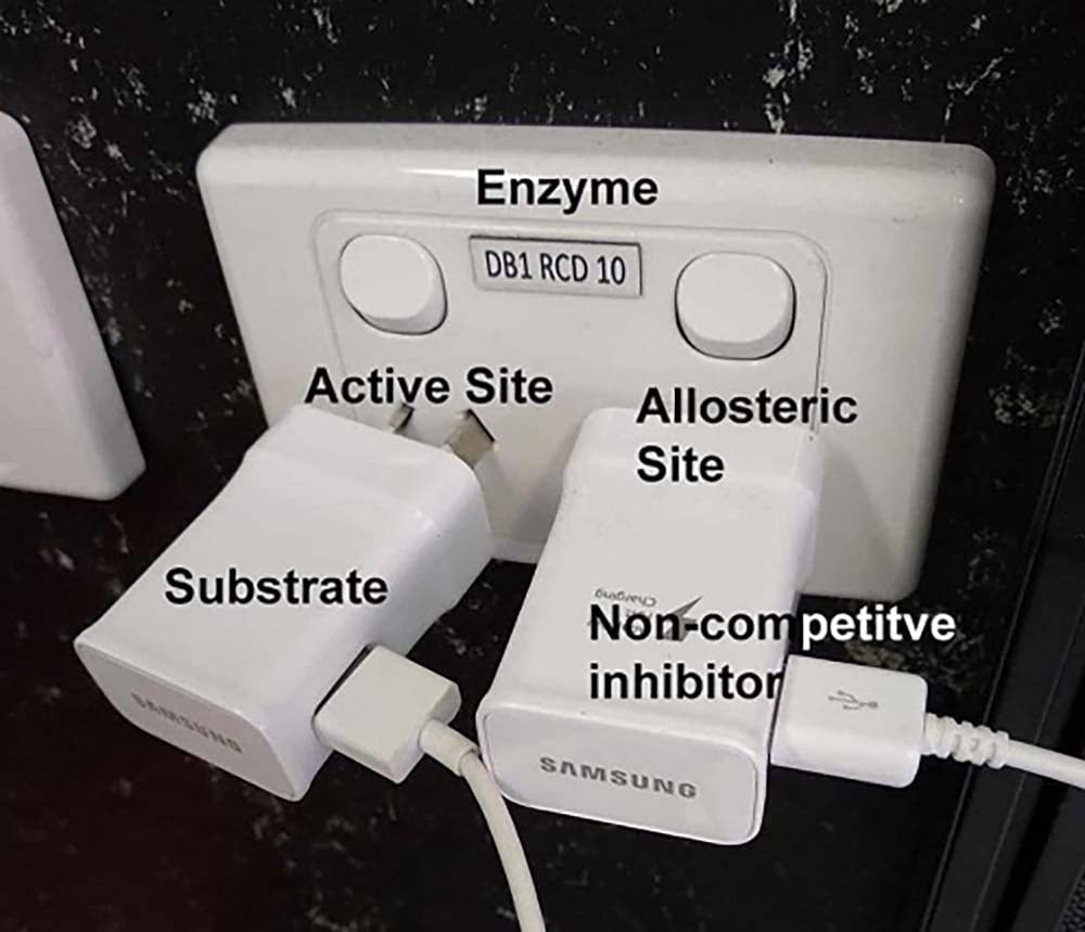 the entourage effect example with extension cords & outlet extension