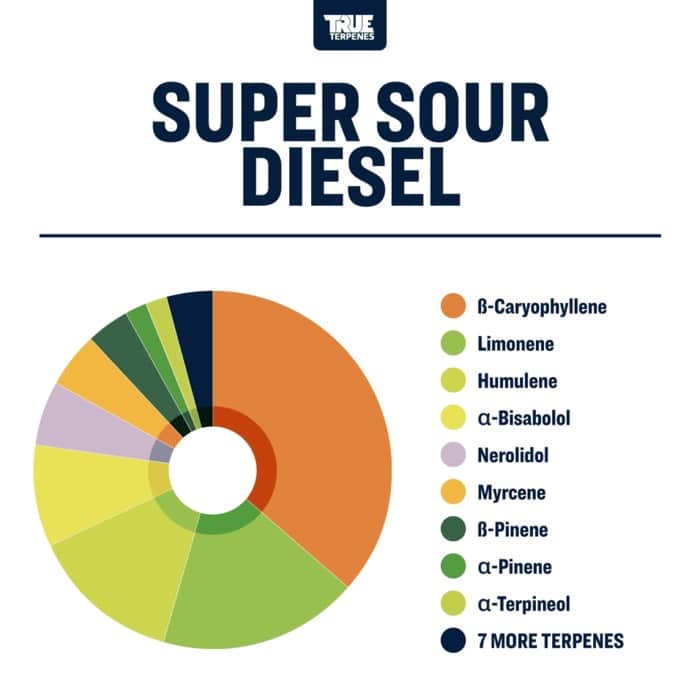 Super Sour Diesel Terpenes | Classic Strains | True Terpenes