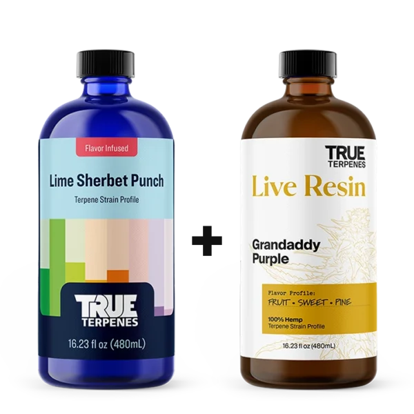 True Terpenes Made to Create blend - Lime Sherbet Punch Infused Live Resin