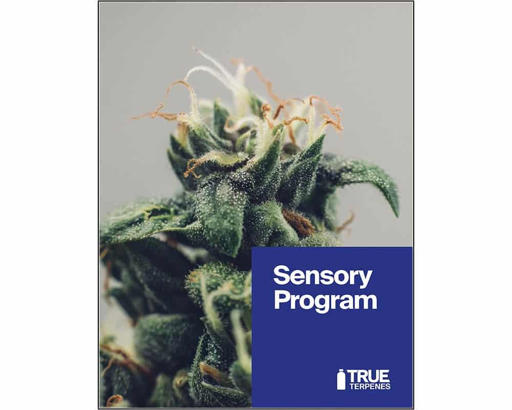 True Terpenes Sensory Program cover