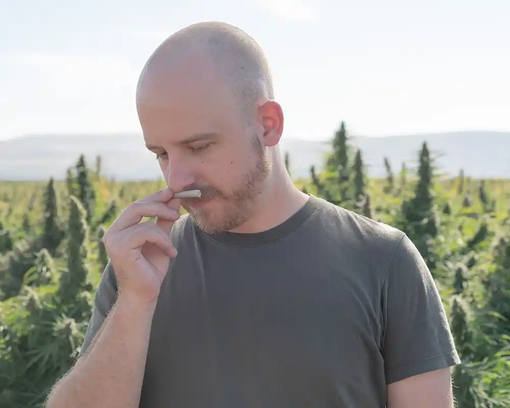 Consumer smelling a terpene infused pre-roll