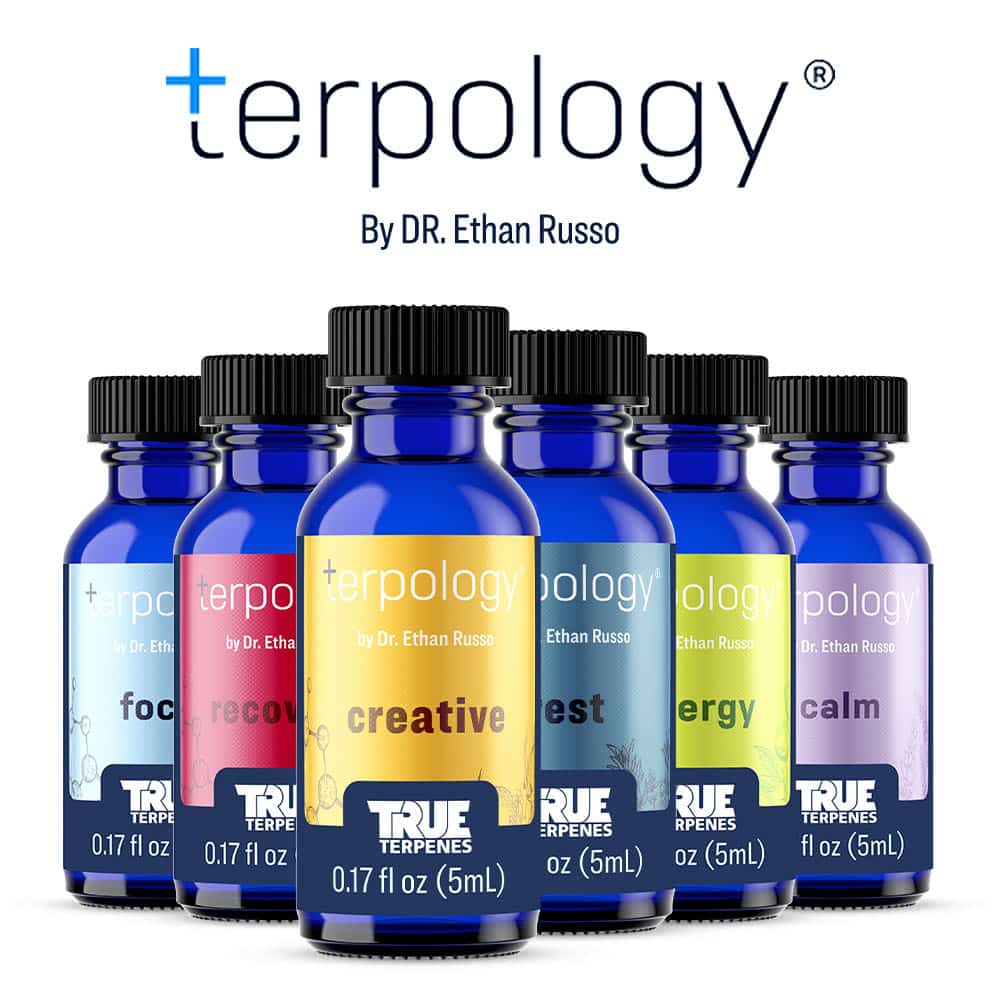 terpology-ALL-group-5mL-staggered